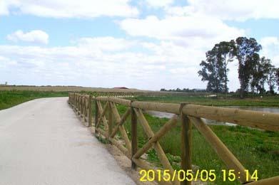 Camino Rural Hormigonado en el T.M. de Brozas (Cáceres)., Vías y Estructuras